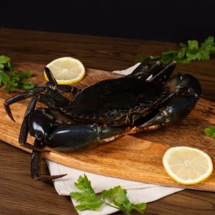Live Crab (Special Bundle)