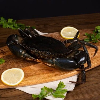Live Crab (Srilanka)