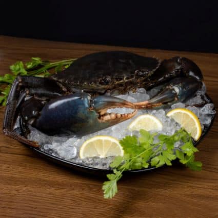 Fresh Crab