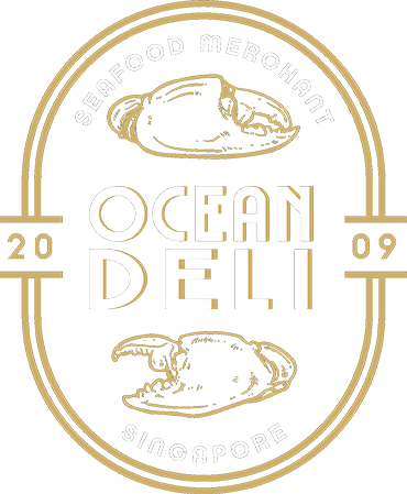 Footer Logo